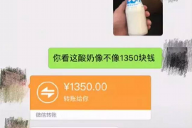 陵水要账公司更多成功案例详情